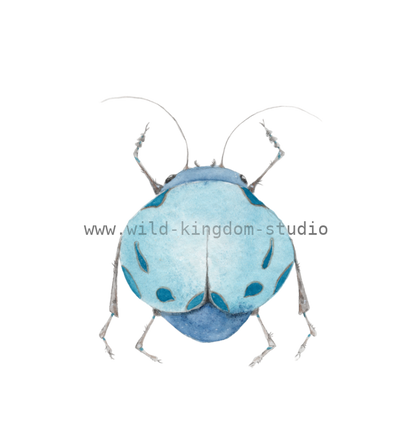 bug#0178 - card