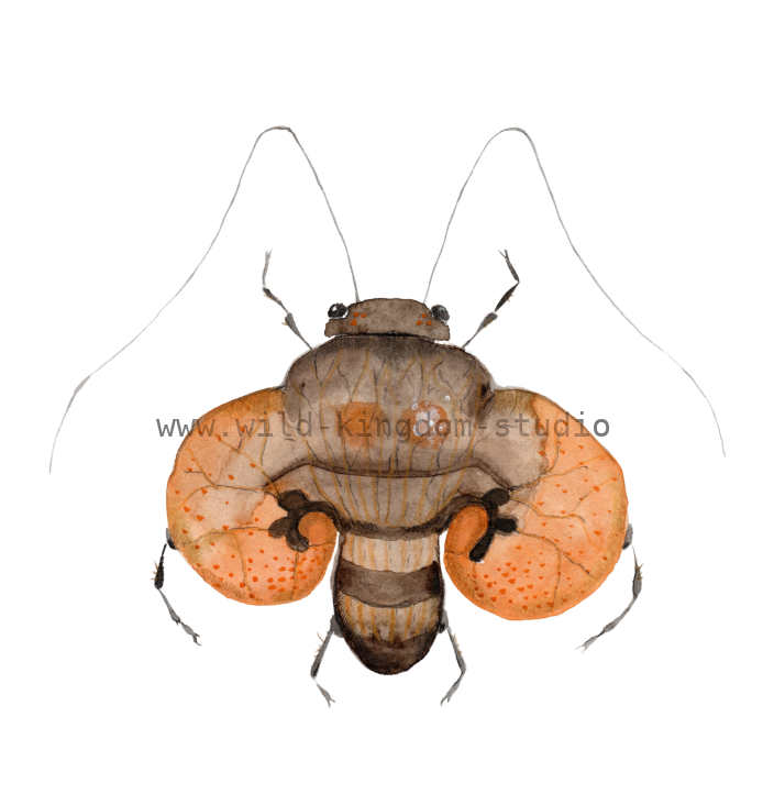 bug#0180 - card
