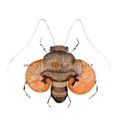 bug#0180 - card