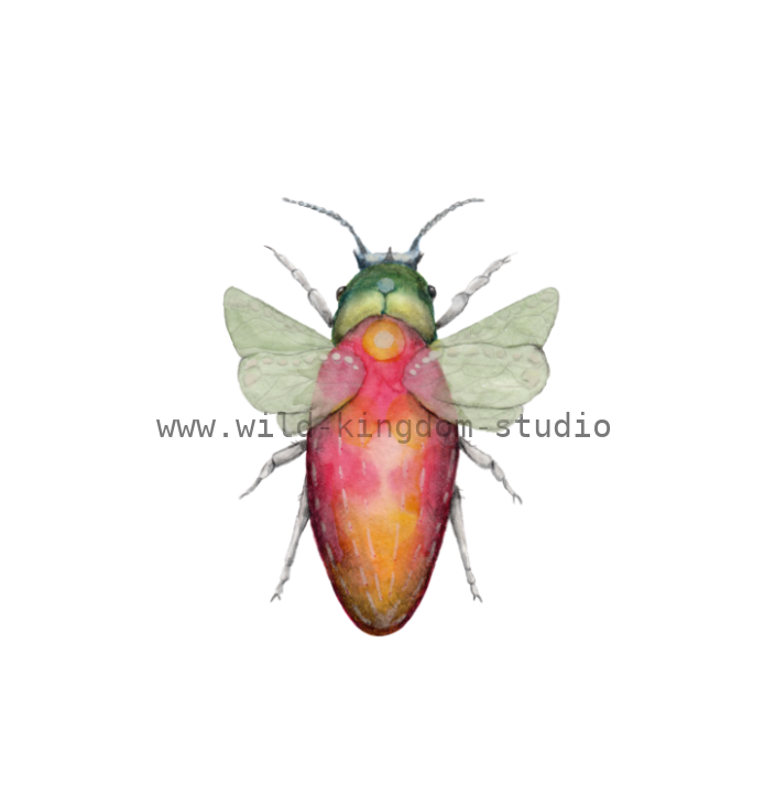 bug#0181 - card