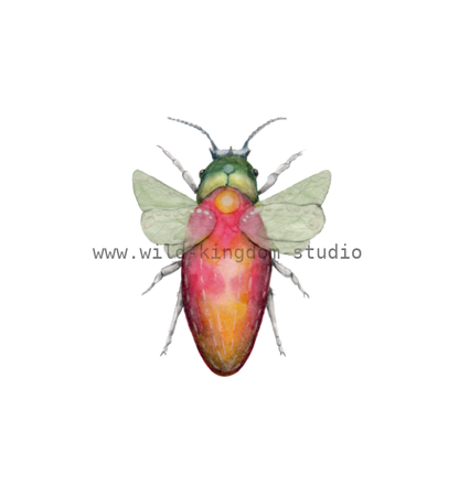 bug#0181 - card