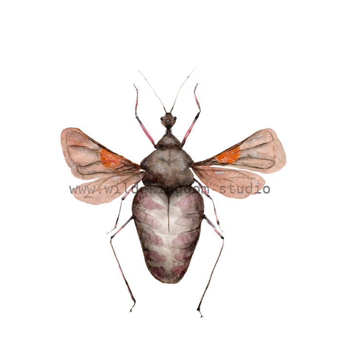 bug#0188 - card
