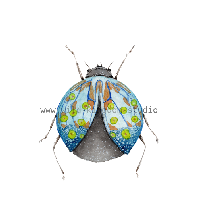 bug#0191 - card