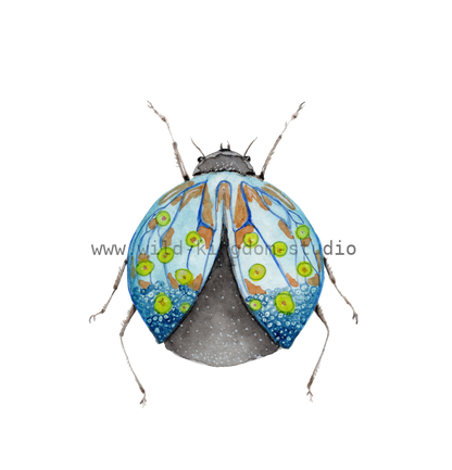 bug#0191 - card