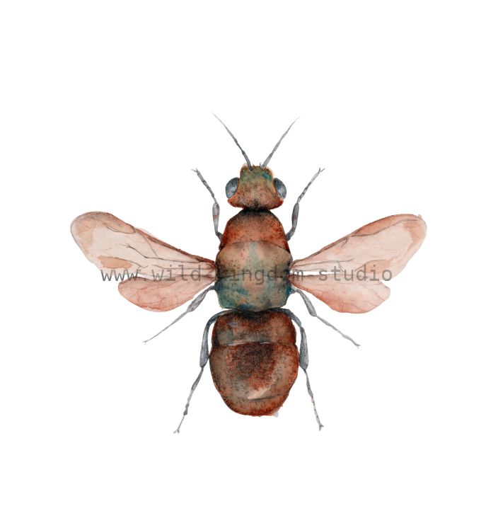 bug#0196 - card