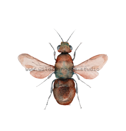 bug#0196 - card