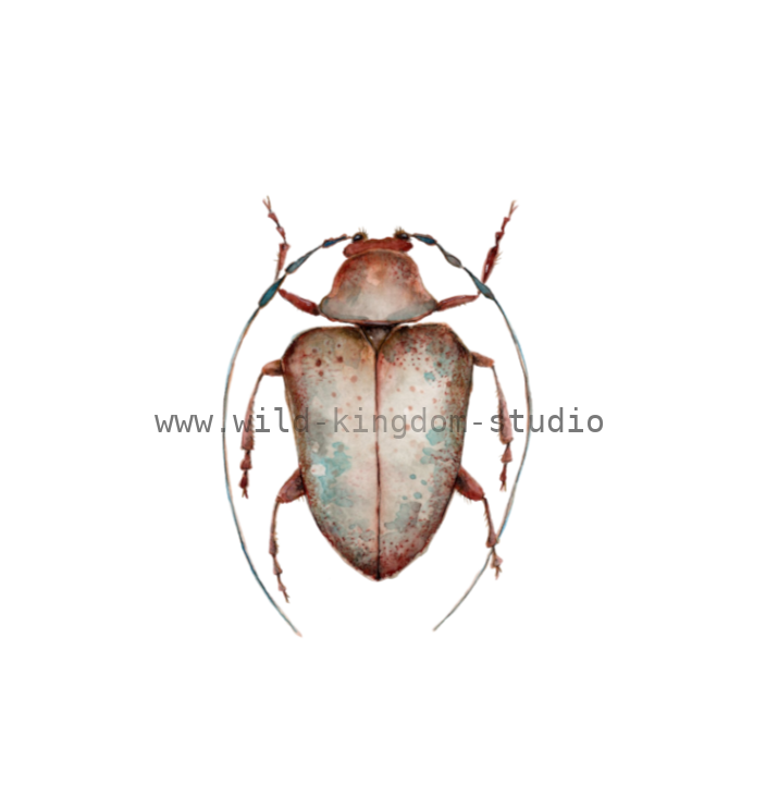 bug#0197 - card