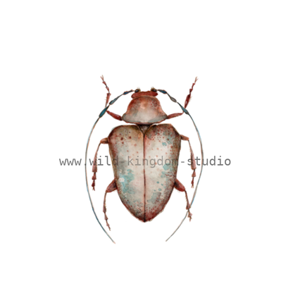 bug#0197 - card