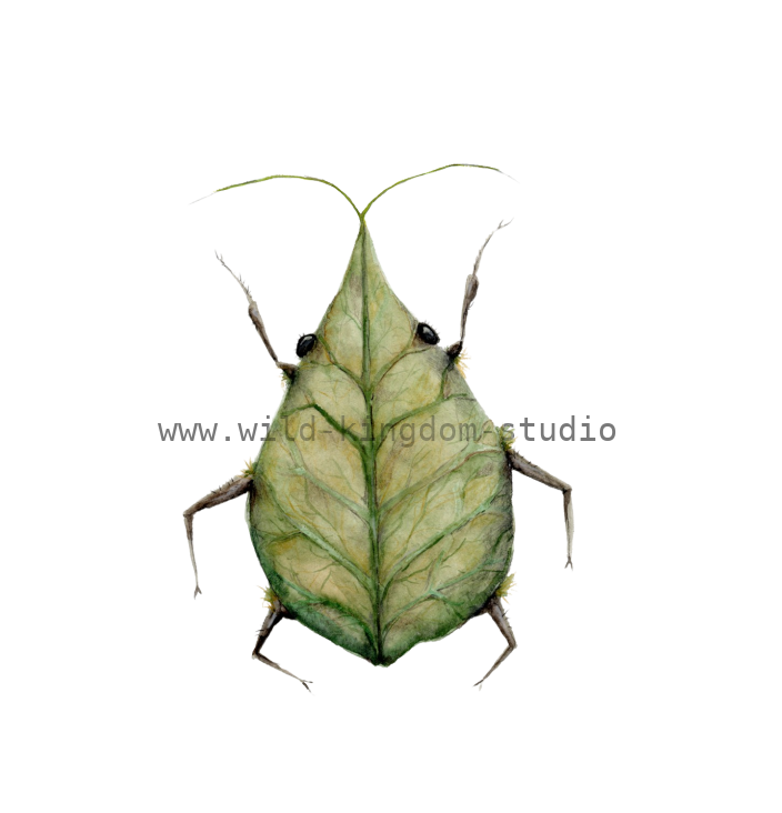bug#0198 - card