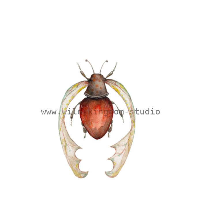 bug#0200 - card
