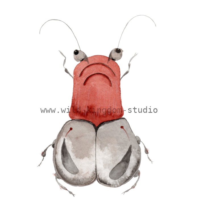 bug#0185 - card