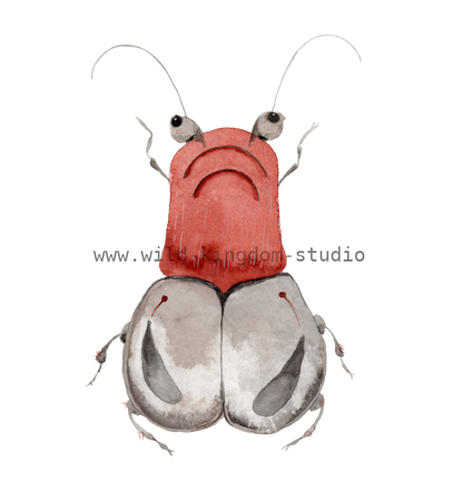 bug#0185 - card