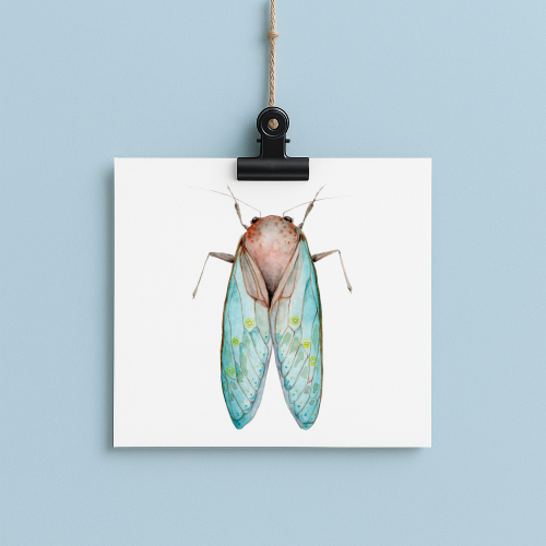bug#0201 - card
