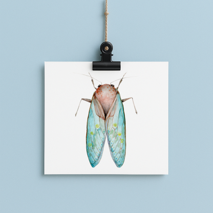 bug#0201 - card