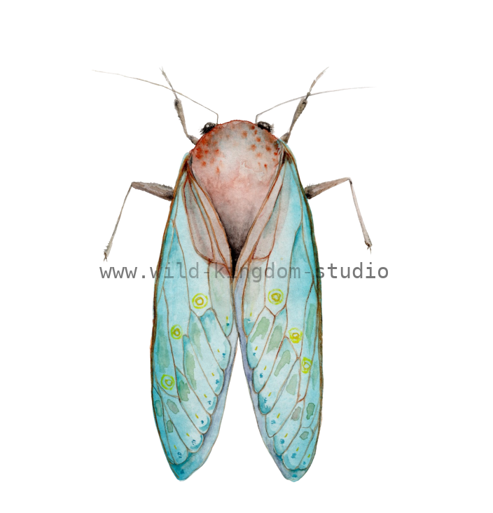 bug#0201 - card