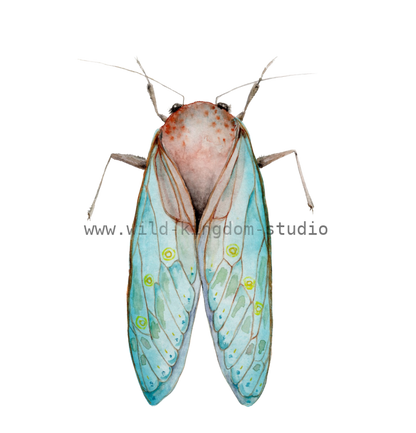 bug#0201 - card