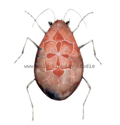 bug#0204 - card