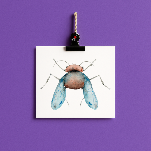 bug#0205 - card