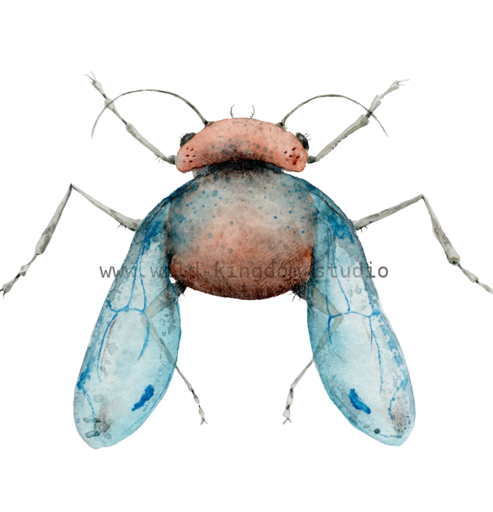 bug#0205 - card