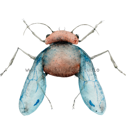 bug#0205 - card