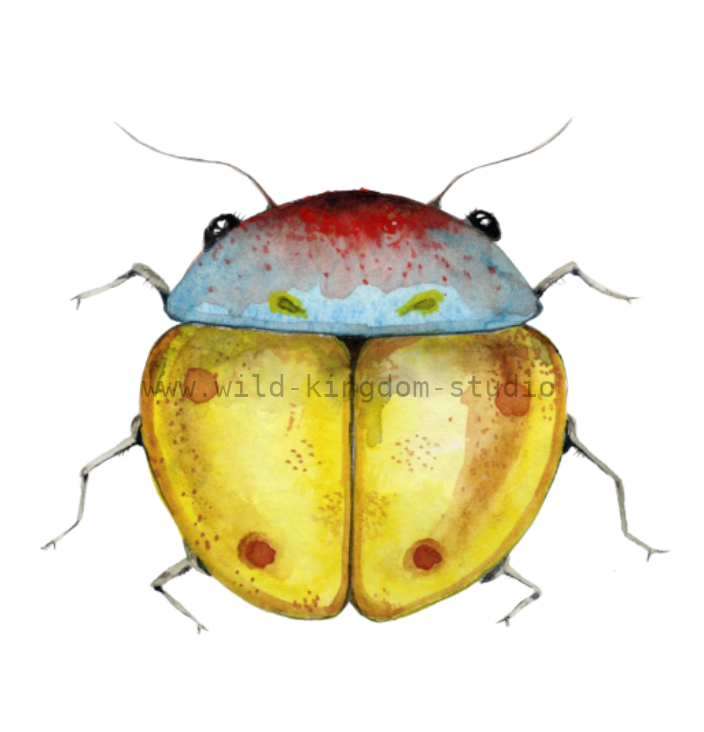 bug#0206 - card