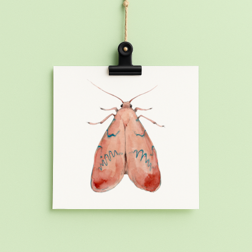 bug#0208 - card