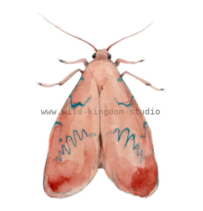 bug#0208 - card