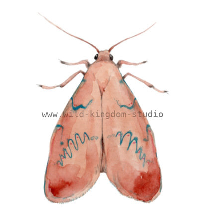 bug#0208 - card