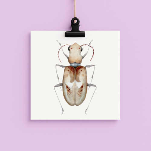 bug#0213 - card