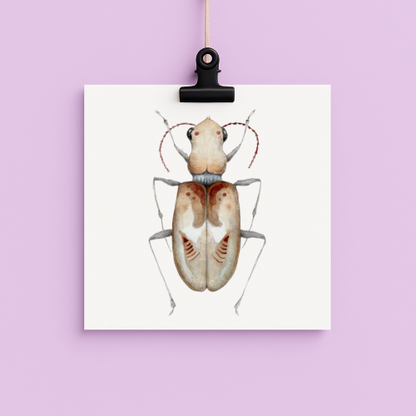 bug#0213 - card