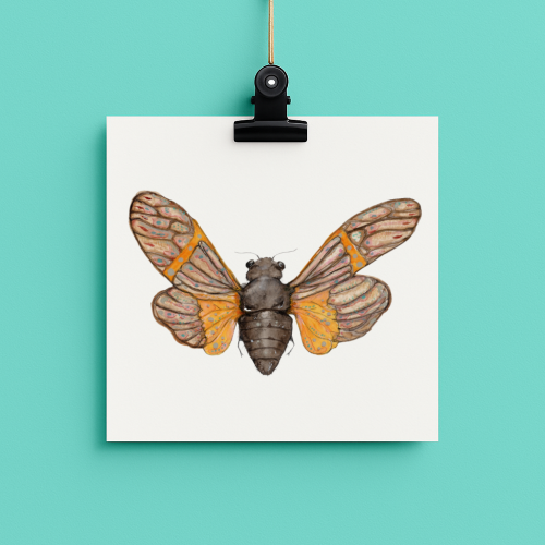 bug#0214 - card