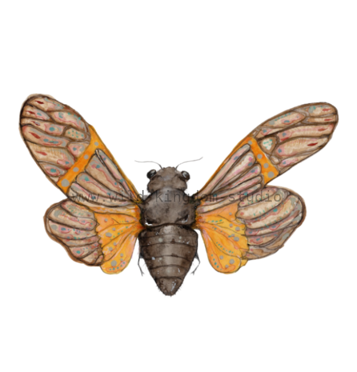 bug#0214 - card