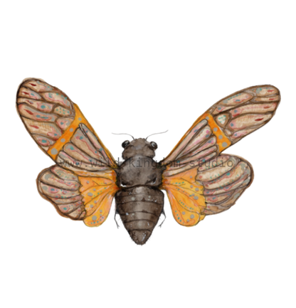 bug#0214 - card
