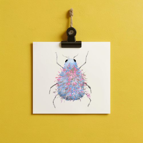 bug#0215 - card