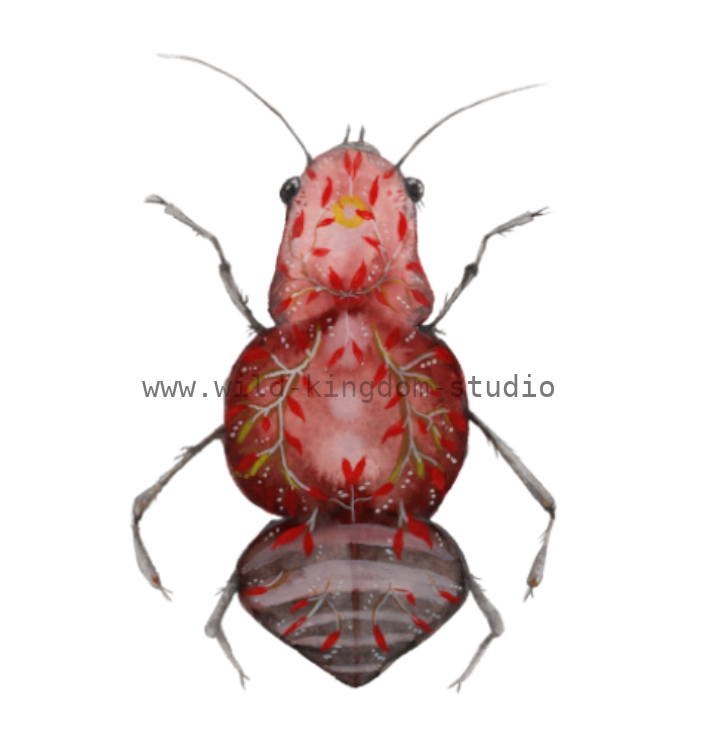 bug#0216 - card