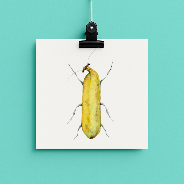 Banana Bug