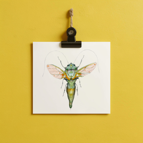 bug#0222 - card