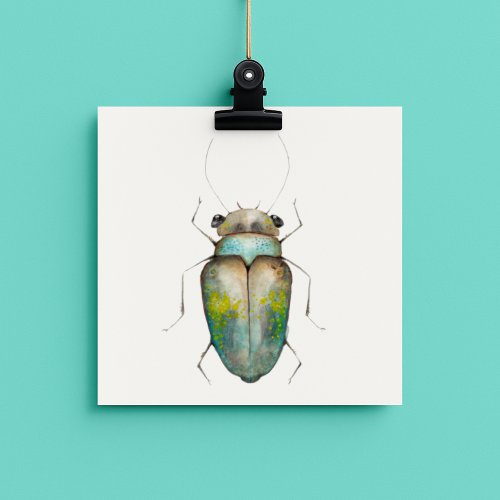 bug#0224 - card