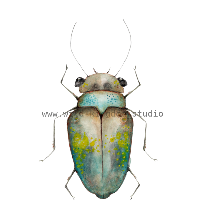 bug#0224 - card