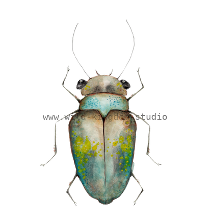 bug#0224 - card