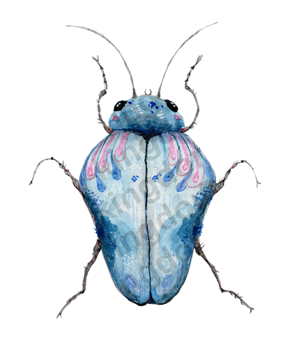 bug#0137 - card