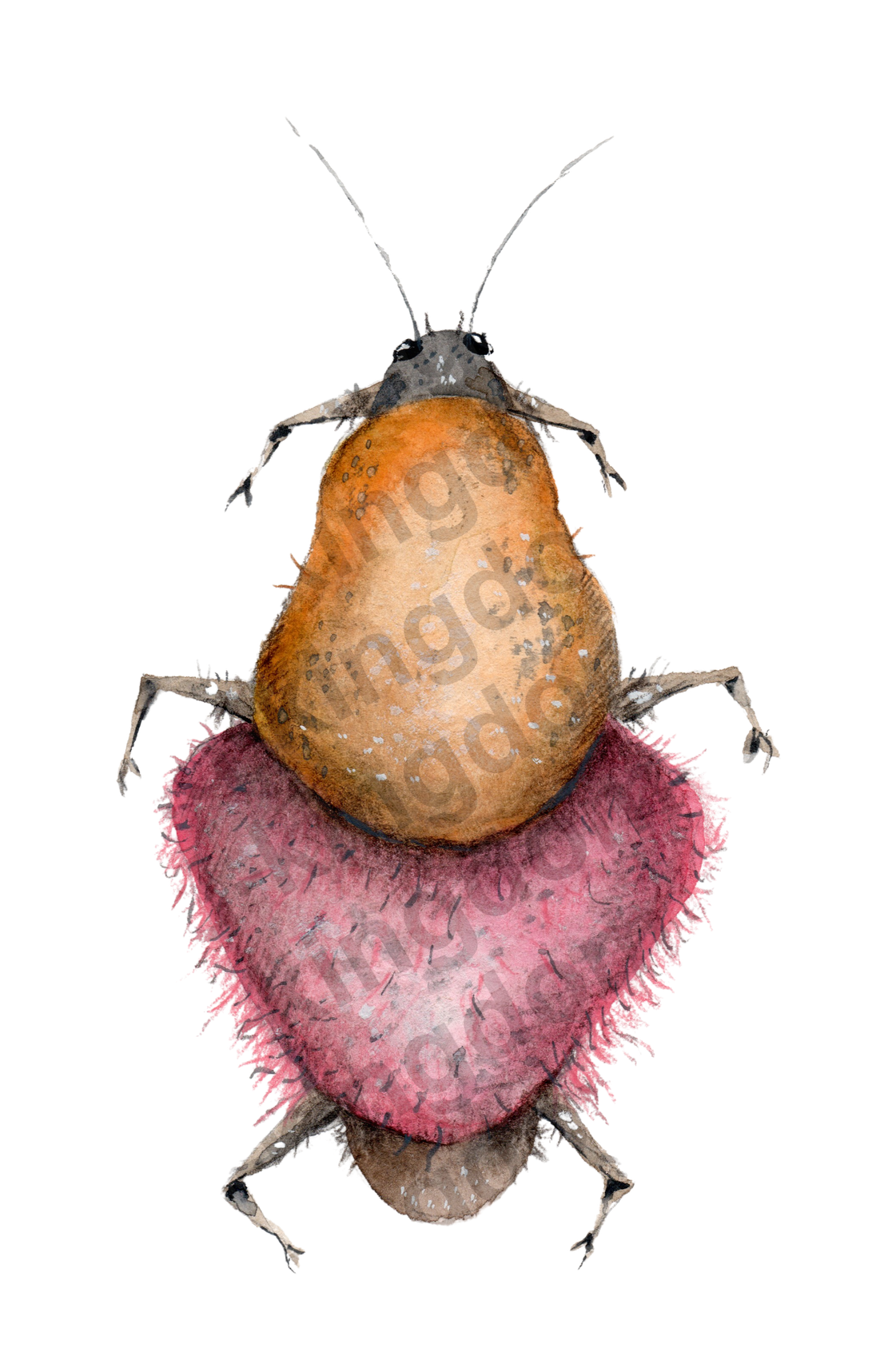 bug#0138 - card