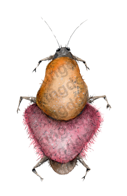 bug#0138 - card