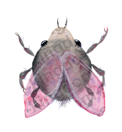 bug#0148 - card