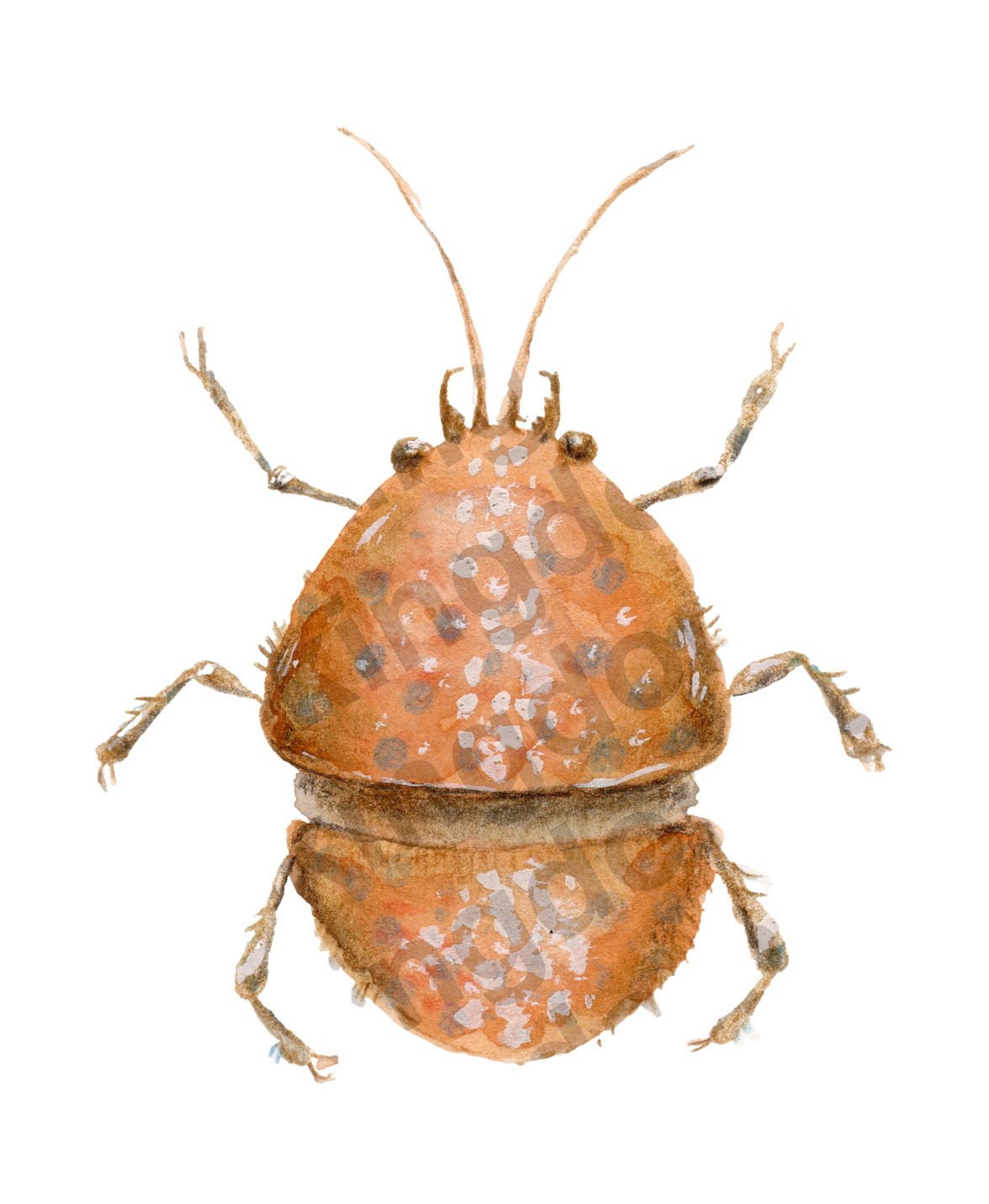 bug#0149 - card