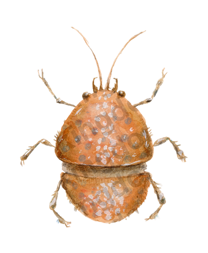 bug#0149 - card