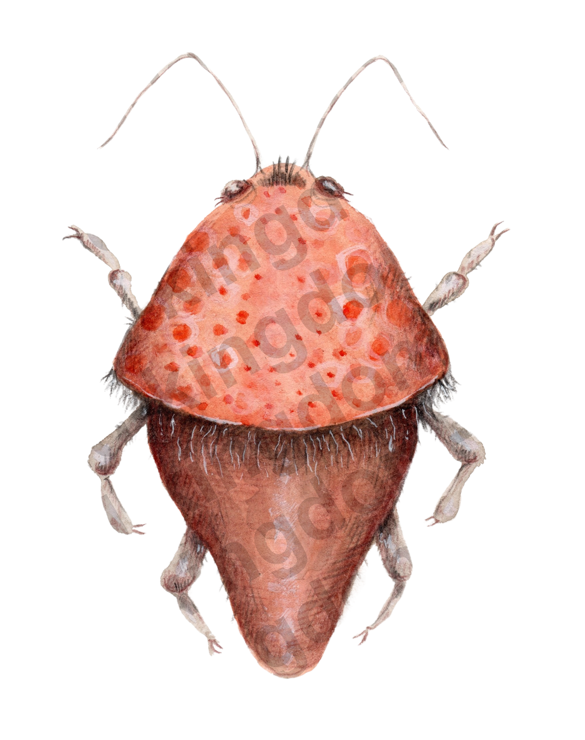 bug#0150 - card