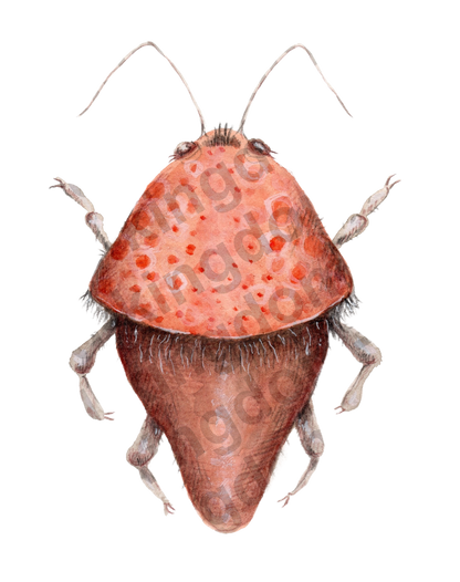 bug#0150 - card