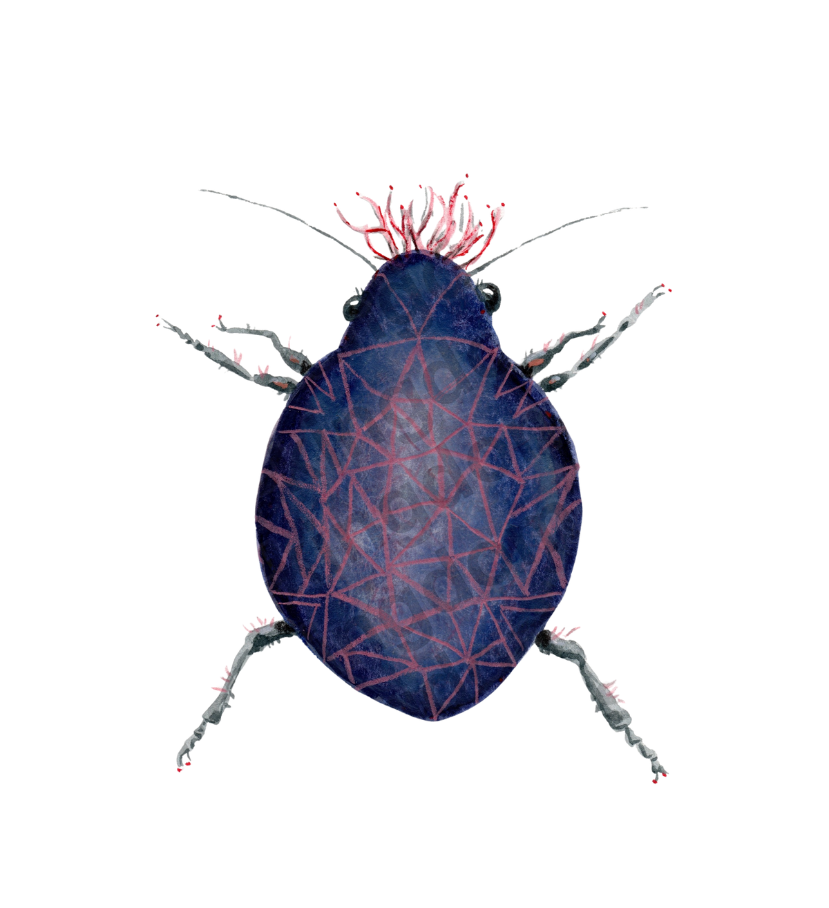 bug#0160 - card