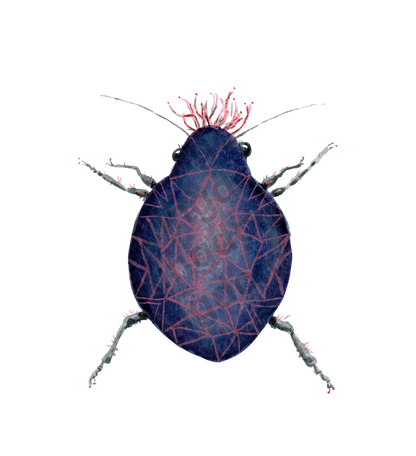 bug#0160 - card